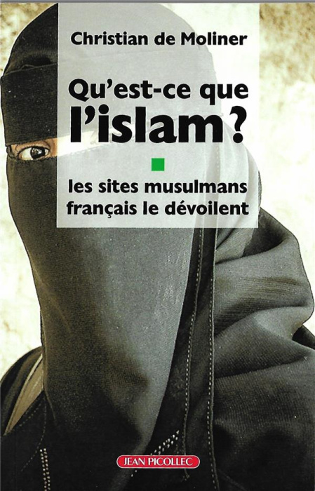 Emprunter Qu'est-ce que l'Islam ? Les sites musulmans français le dévoilent livre