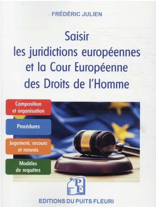 Emprunter Saisir les juridictions européennes et la Cour européenne des Droits de l'Homme. Guide pratique livre