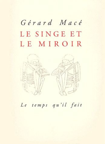 Emprunter Le singe et le miroir livre