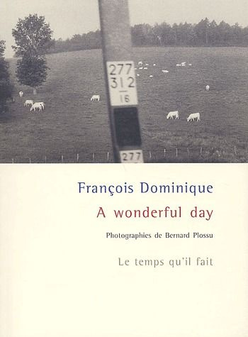 Emprunter A wonderful day livre