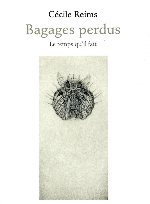 Emprunter Bagages perdus livre