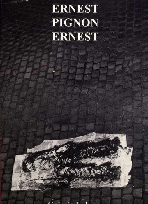 Emprunter Ernest Pignon Ernest livre