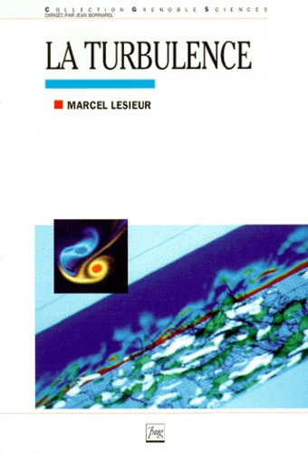 Emprunter TURBULENCE livre
