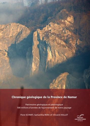 Emprunter Chronique géologique de la province de Namur livre