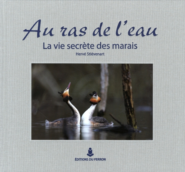 Emprunter Au ras de l'eau. La vie secrète des marais livre