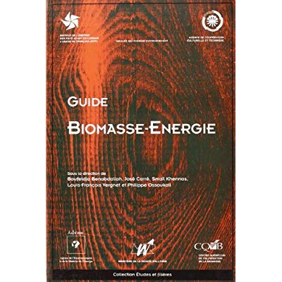 Emprunter GUIDE BIOMASSE ENERGIE livre