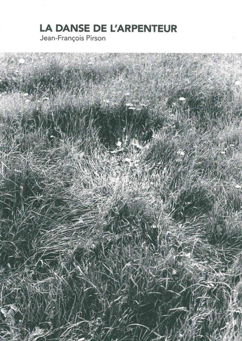 Emprunter La danse de l'arpenteur livre