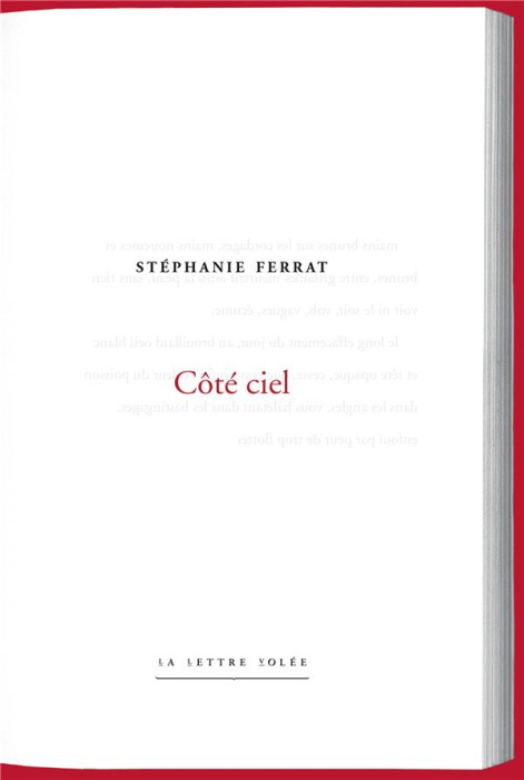 Emprunter Côté ciel. Notes d'atelier livre