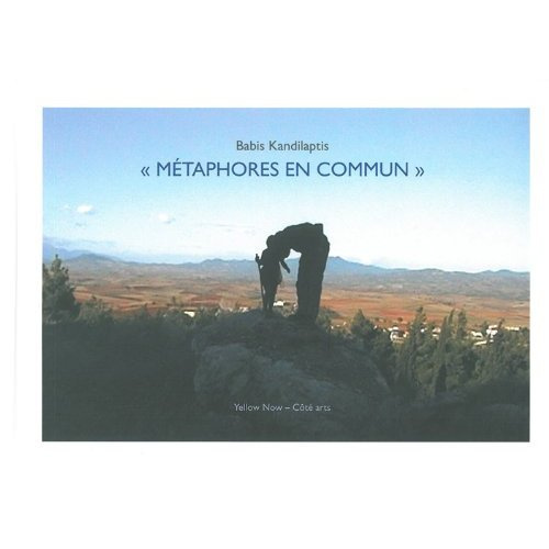 Emprunter Métaphores en commun livre