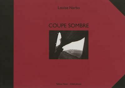 Emprunter Coupe sombre. Un journal traversé livre