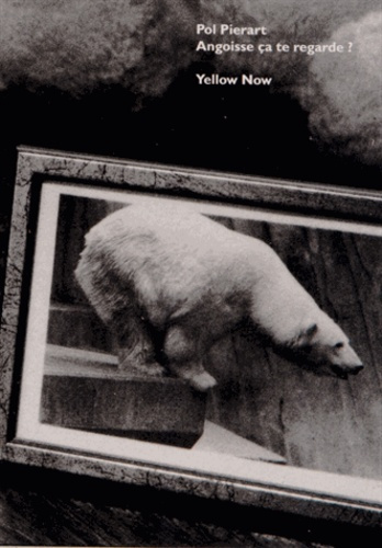 Emprunter Angoisse ça te regarde ? livre