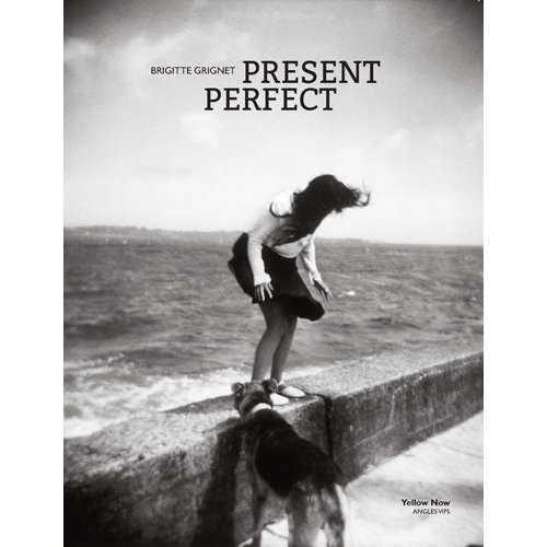 Emprunter Present Perfect livre