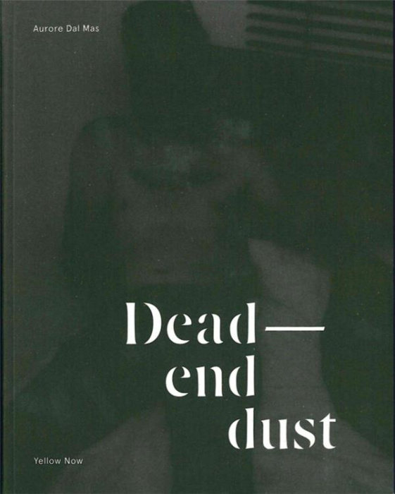 Emprunter Dead-end dust livre