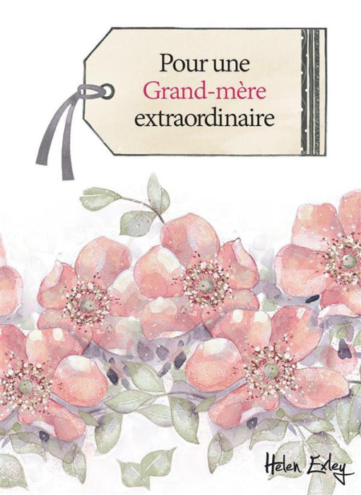 Emprunter Pour une grand-mère extraordinaire livre