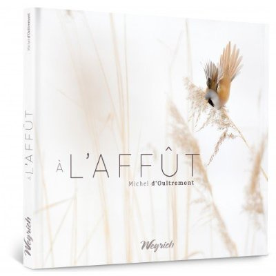 Emprunter Affut (a l') livre