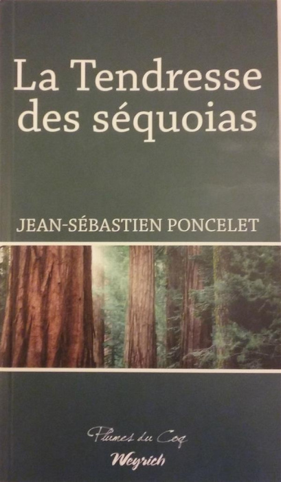 Emprunter La tendresse des sequoias livre