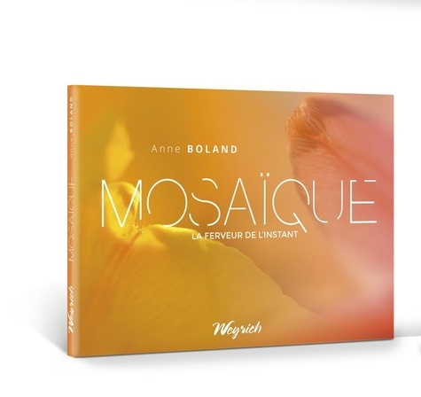 Emprunter Mosaïque. La ferveur de l'instant livre