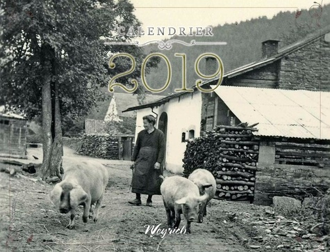 Emprunter Calendrier. Edition 2019 livre