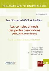 Emprunter Les comptes annuels des petites associations livre