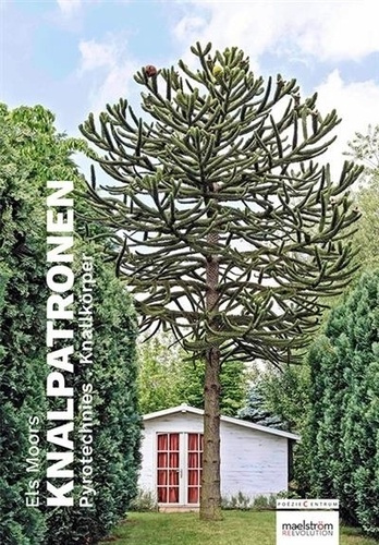 Emprunter Knalpatronen - pytorechnies livre