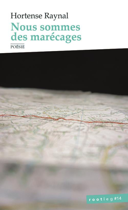 Emprunter Nous sommes des marécages livre