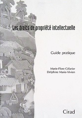 Emprunter LES DROITS DE PROPRIETE INTELLECTUELLE. GUIDE PRATIQUE livre