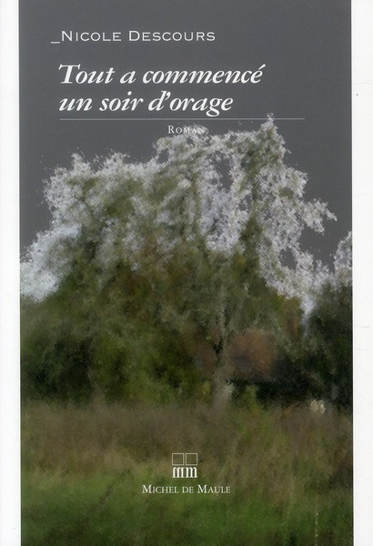 Emprunter Tout a commencé un soir d'orage livre