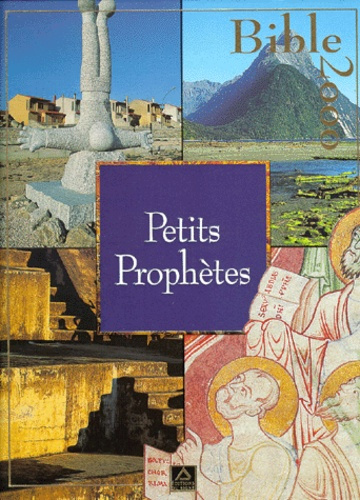 Emprunter PETITS PROPHETES-BIBLE 2000 TOME 14 livre
