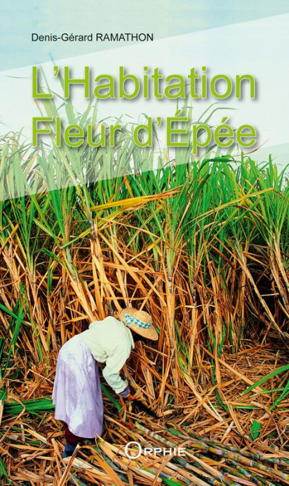 Emprunter L'Habitation Fleur d'Epée livre