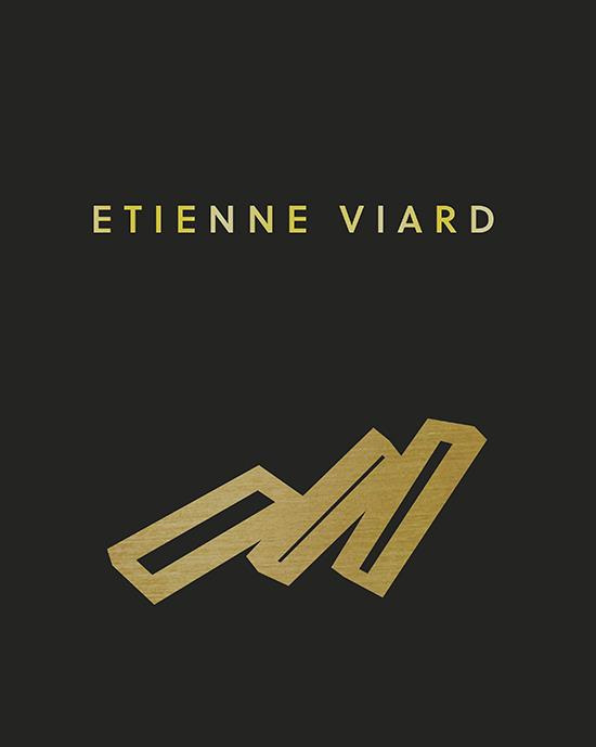Emprunter Etienne Viard. Poésie de l'instabilité, Edition bilingue français-anglais livre