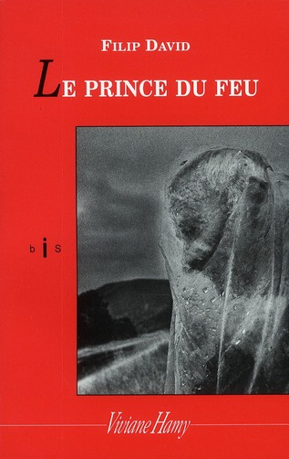 Emprunter Le prince du feu livre