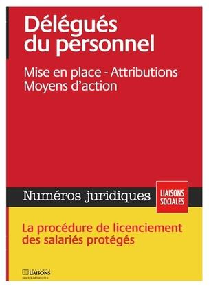 Emprunter Délégués du personnel. Mise en place - Attributions - Moyens d'action. livre