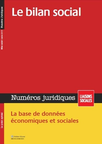 Emprunter Numéros juridiques Janvier 2015 : Le bilan social livre