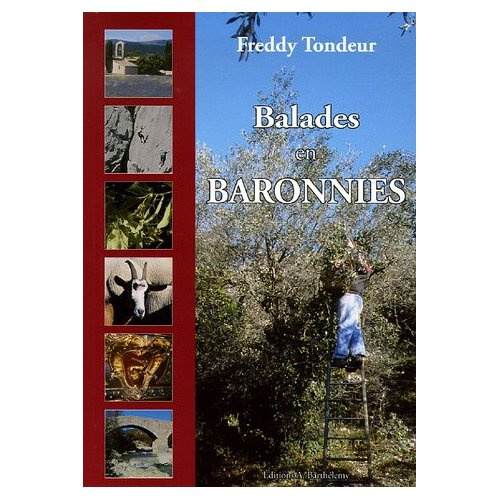 Emprunter BALADES EN BARONNIES livre