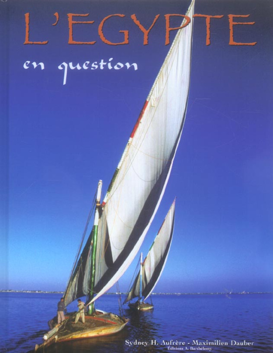 Emprunter L'EGYPTE EN QUESTION livre
