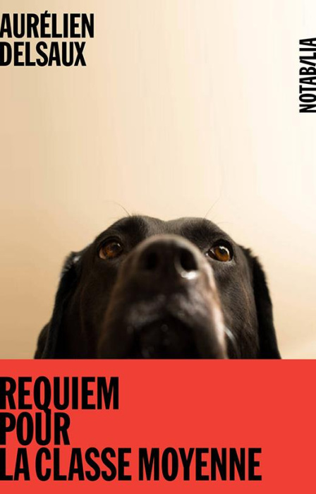 Emprunter Requiem pour la classe moyenne livre