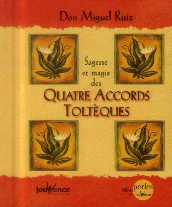 Emprunter Sagesse et magie des quatre accords toltèques livre