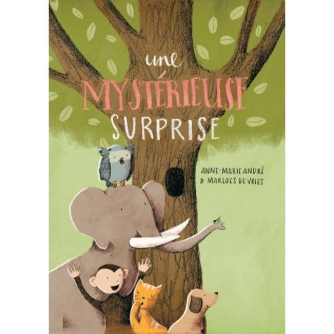 Emprunter UNE MYSTERIEUSE SURPRISE livre
