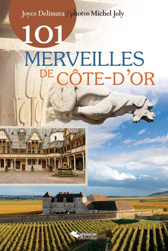 Emprunter 101 merveilles de Côte-d'Or livre