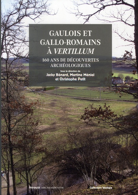 Emprunter Gaulois et gallo-romains à Vertillum. 160 ans de découverte archéologiques livre