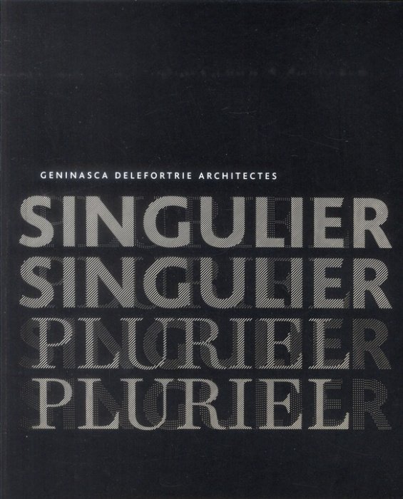 Emprunter Singulier Pluriel livre