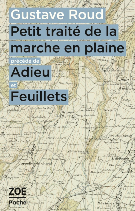Emprunter Petit traité de la marche en plaine. Précédé de Adieu et Feuillets livre
