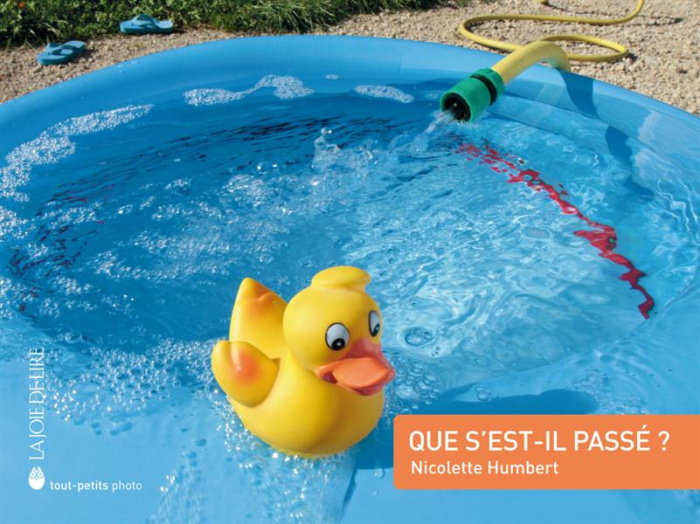 Emprunter Que s'est-il passé ? livre