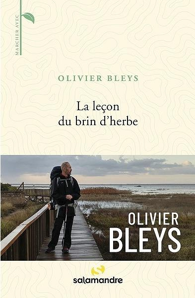 Emprunter La leçon du brin d'herbe livre