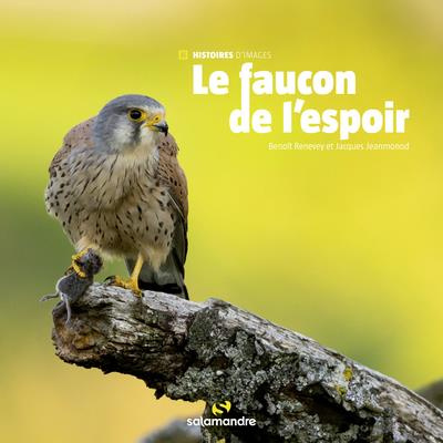 Emprunter Le faucon de l'espoir livre