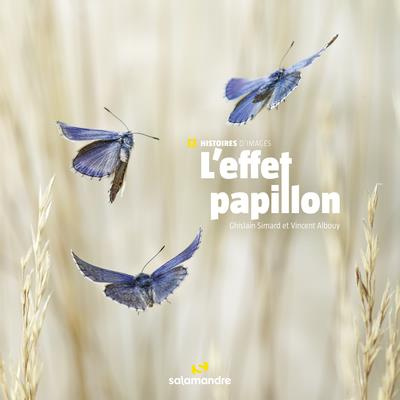 Emprunter L'effet papillon livre