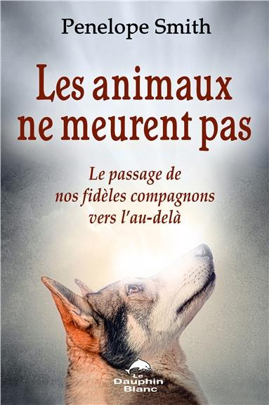 Emprunter Les animaux ne meurent pas. Le passage de nos fidèles compagnons vers l'au-delà livre