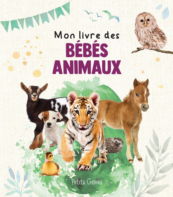 Emprunter Mon livre des bébés animaux livre