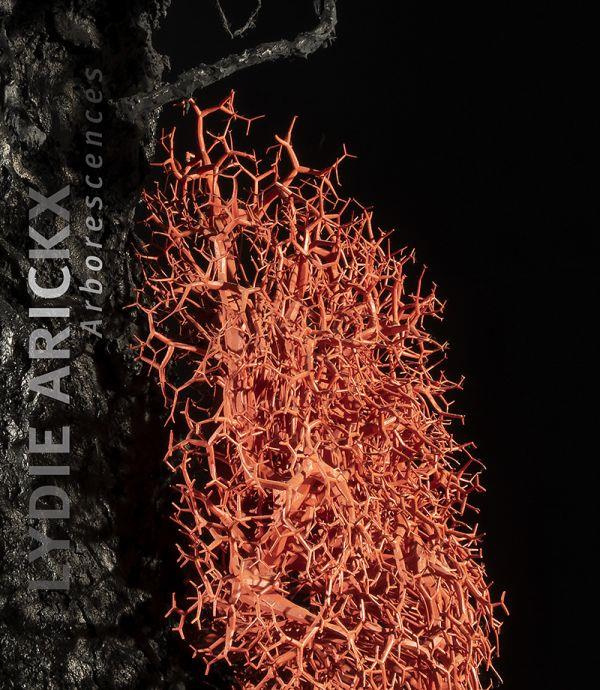 Emprunter Lydie Arickx. Arborescences livre