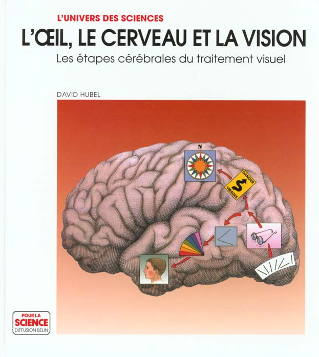 Emprunter L'OEIL, LE CERVEAU ET LA VISION. Les étapes cérébrales du traitement visuel livre